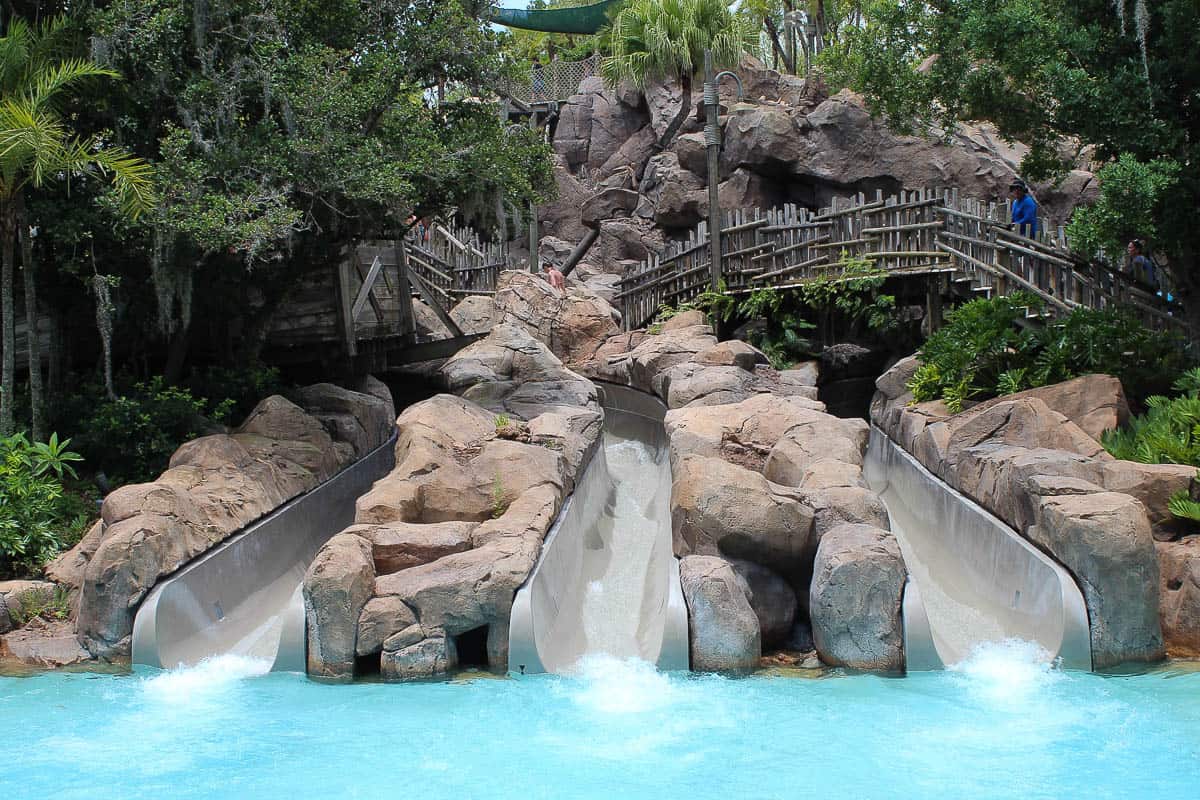 Storm Slides at Typhoon Lagoon - Water Parks Gal