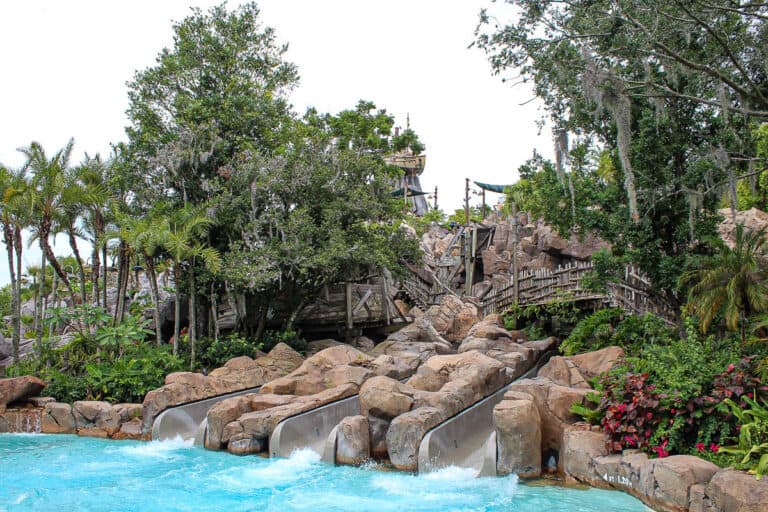 Storm Slides at Typhoon Lagoon - Water Parks Gal