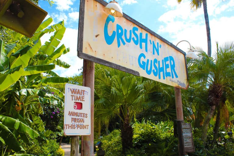 Crush ‘N’ Gusher at Disney’s Typhoon Lagoon